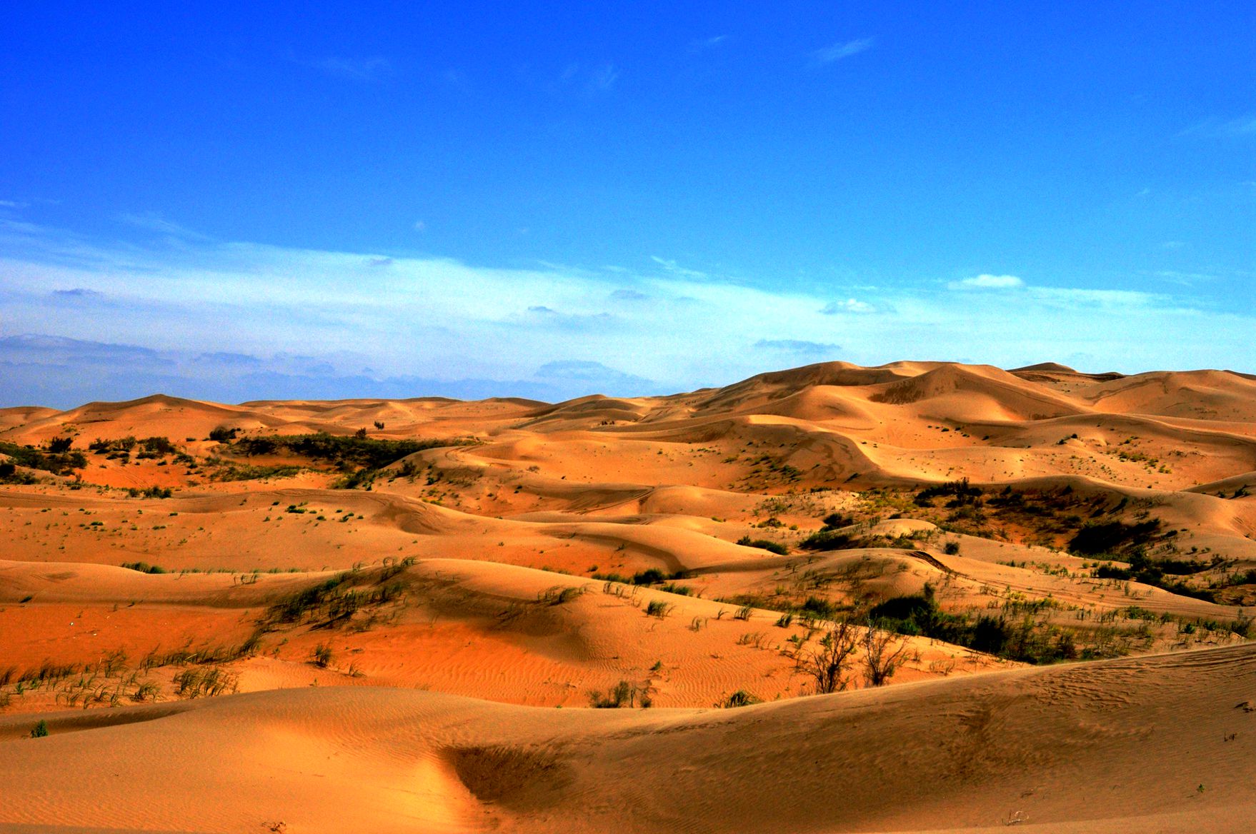 实拍中国逐渐被绿地取代的沙漠,国人再次将不可能化为可能