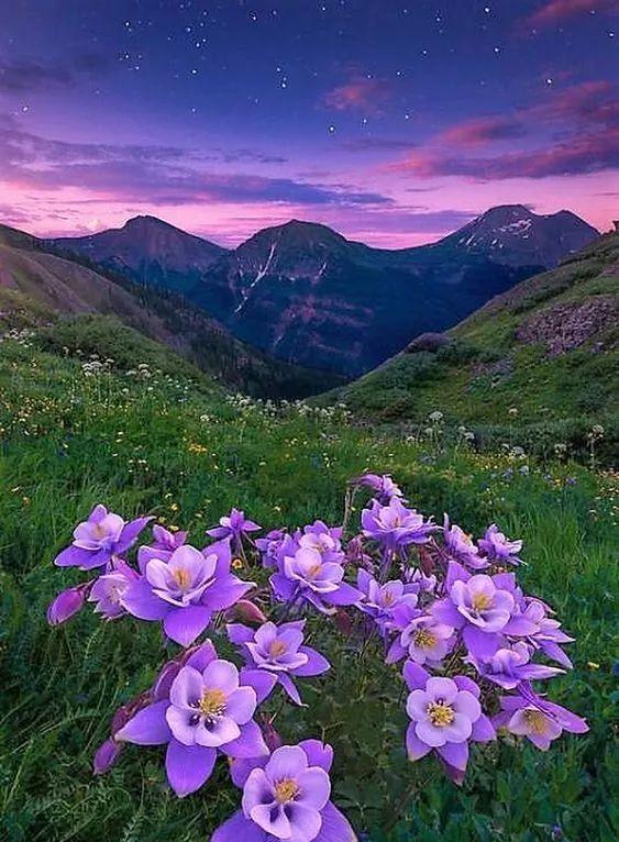 摄影丨这些罕见美景一辈子看一次就值了