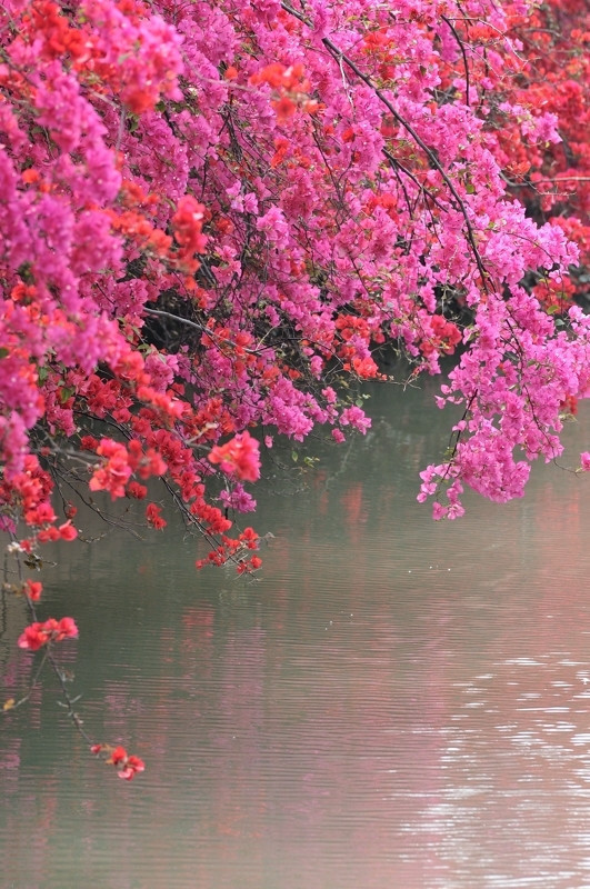 这些年,常需要痛下决心扔一些衣服,删一些照片和号码