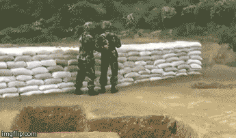 345_202gif 动态图 动图