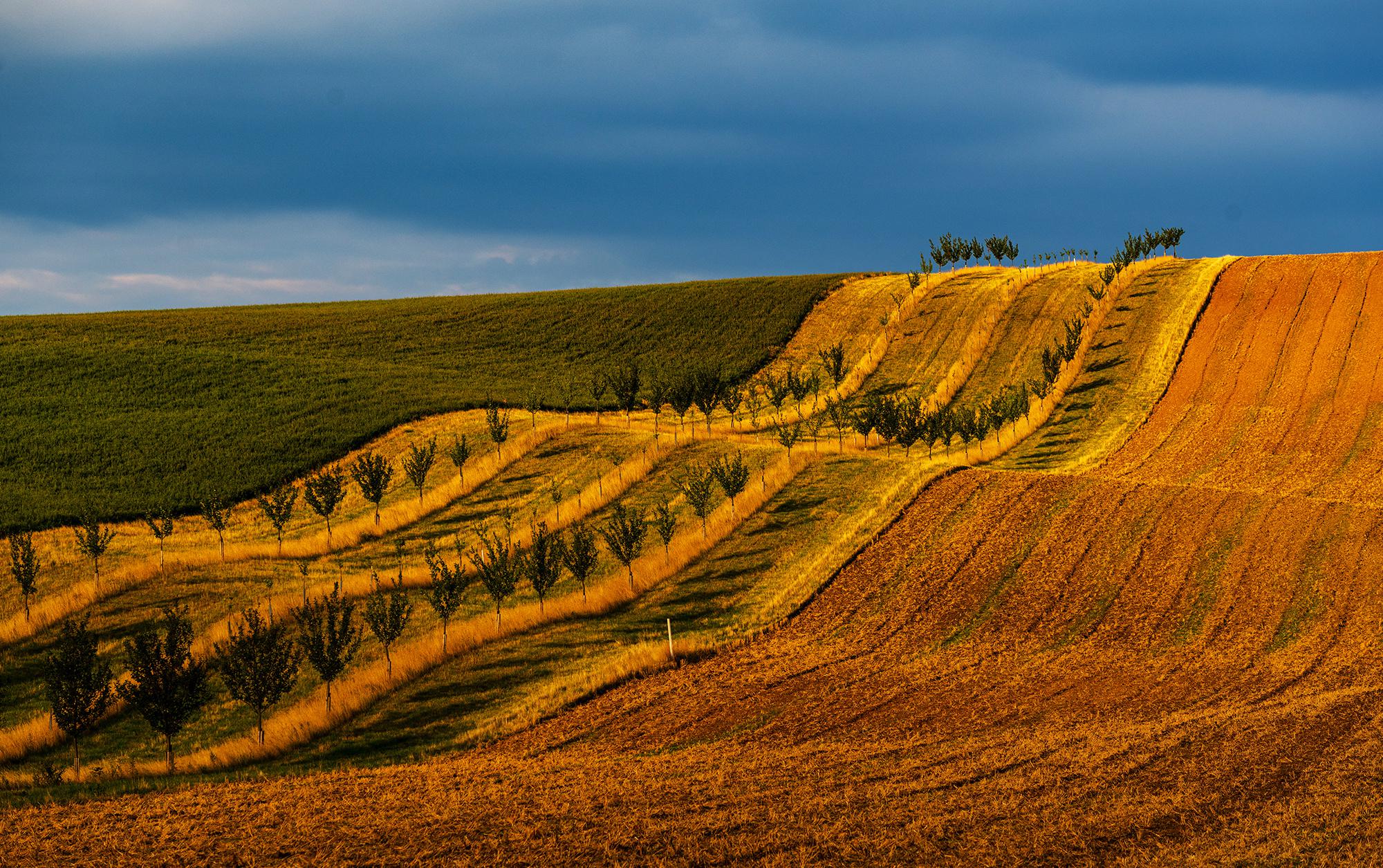 今天就要告别捷克南部这块美丽的土地了.rolling hills让我痴迷