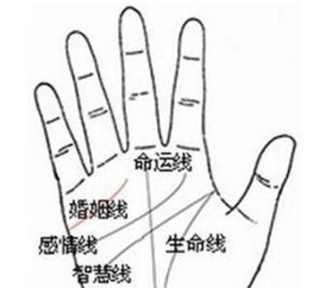命运线终止于智慧线,一生运气不好