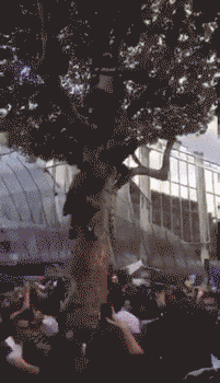 搞笑gif:我看看谁有大胆的想法