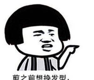 用表情包描述剪了短发后的十种感觉