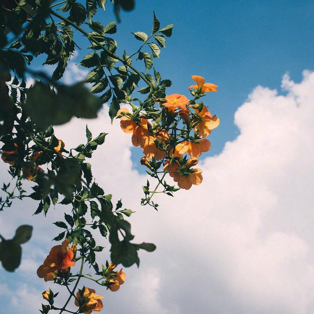 春天是一个充满希望的季节67