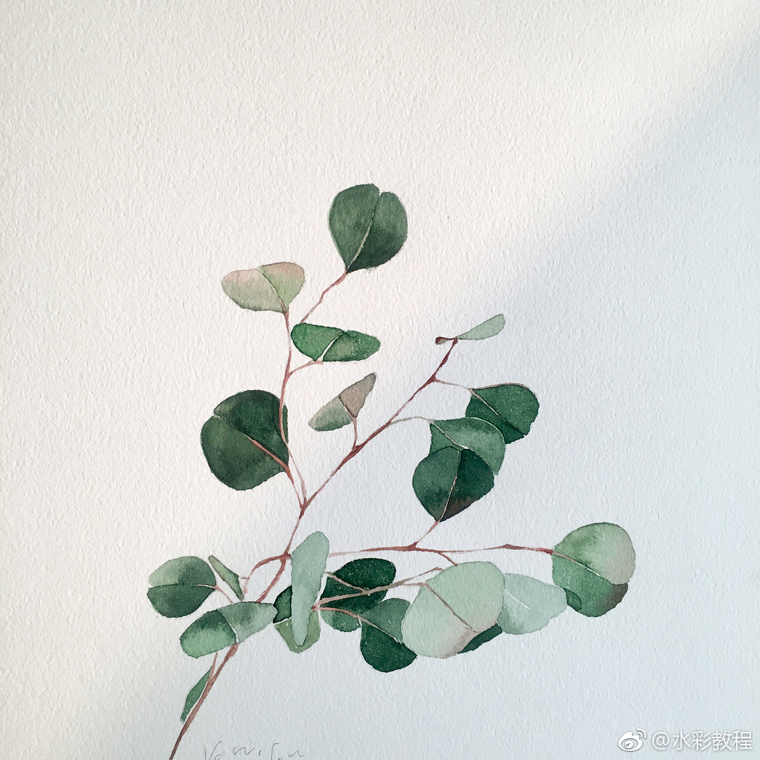 水彩花卉作品欣赏byinsnunuartroom