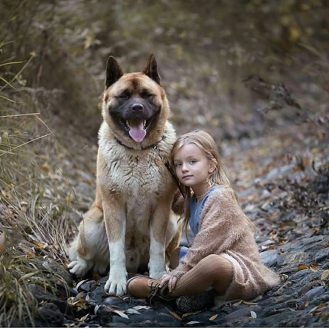 小朋友和动物太可爱了