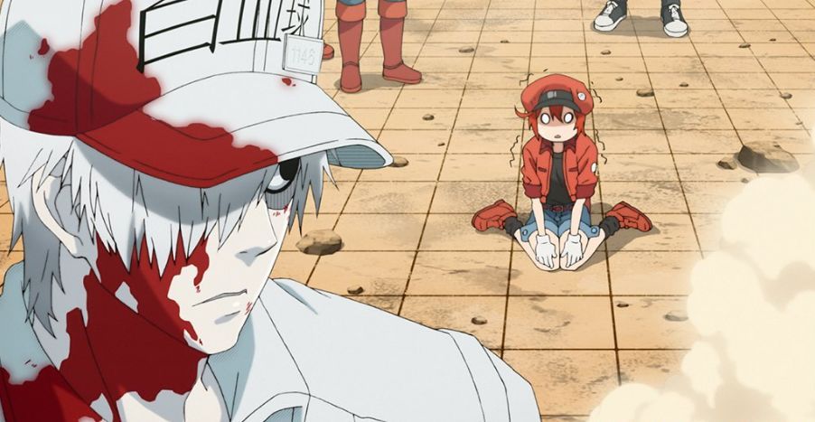 细胞们都在谈恋爱,单身狗看了想割腕丨毒药推荐|工作细胞|细胞|细菌