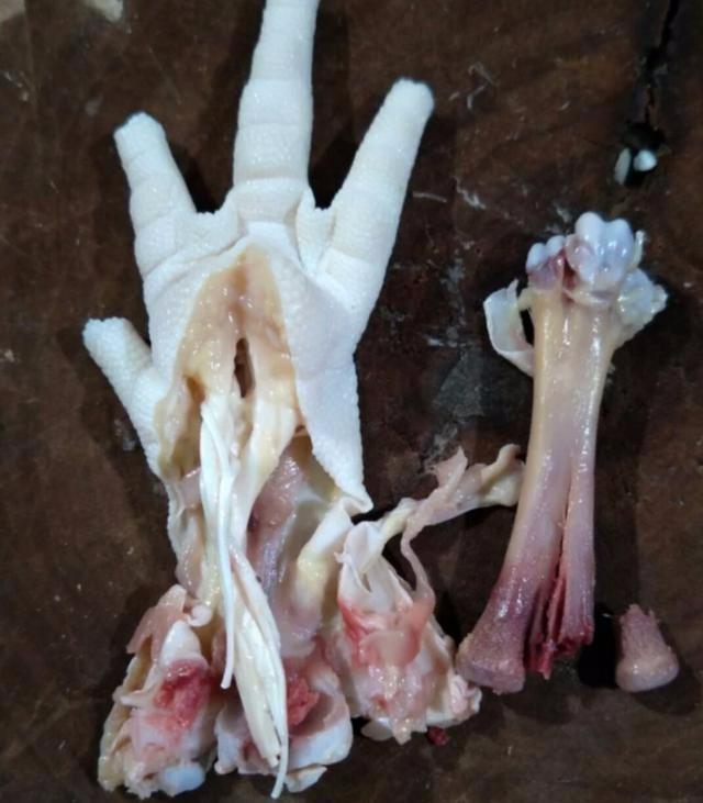 看到我做的泡椒凤爪朋友忍不住多喝了两杯珍藏好酒都快喝光了