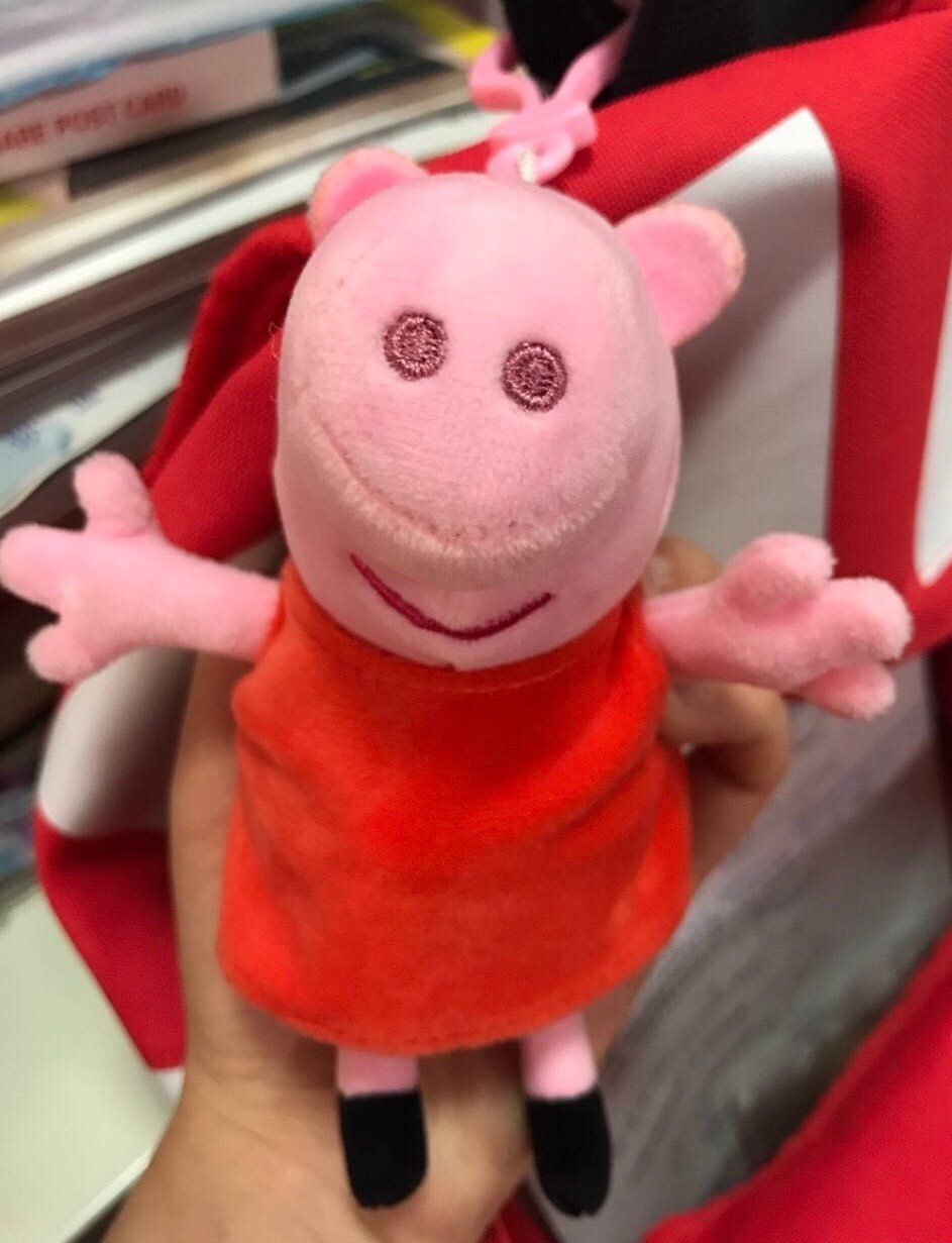 最后,给大家放上小猪佩奇的真·正面!另外,小猪佩奇求点赞,关注!