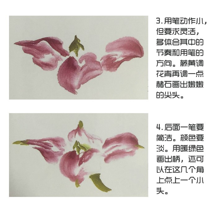 国画蔬果菱角的画法