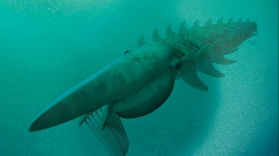 奇虾曾在寒武纪称霸海洋,之后却神秘消失,科学家都不知道其原因