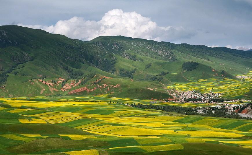 上山入海去草原, 大美青海来避暑!
