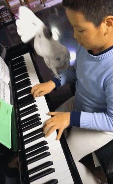 搞笑gif趣图:我连打狗棒都准备好了,这就是你说的恶犬?