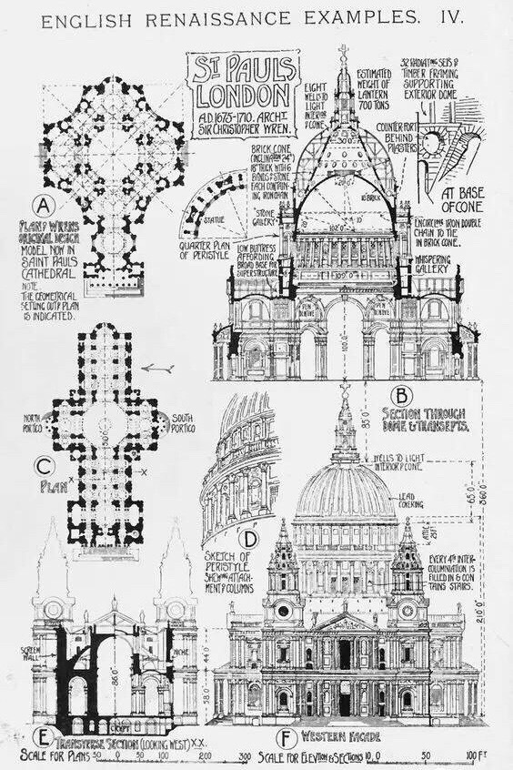 亚眠大教堂剖面图片