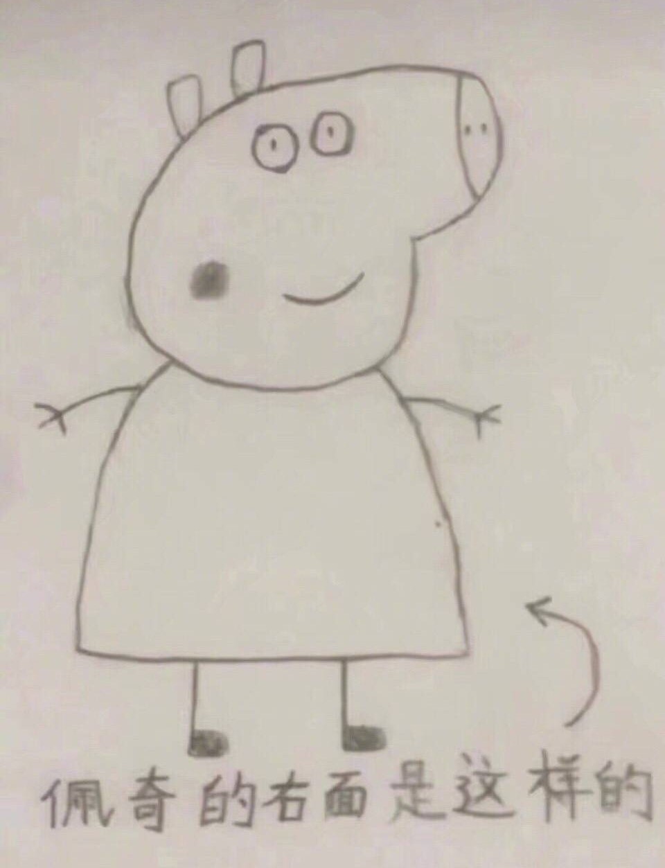 佩奇的正脸如果长成这样也太惊悚了吧!__财经头条