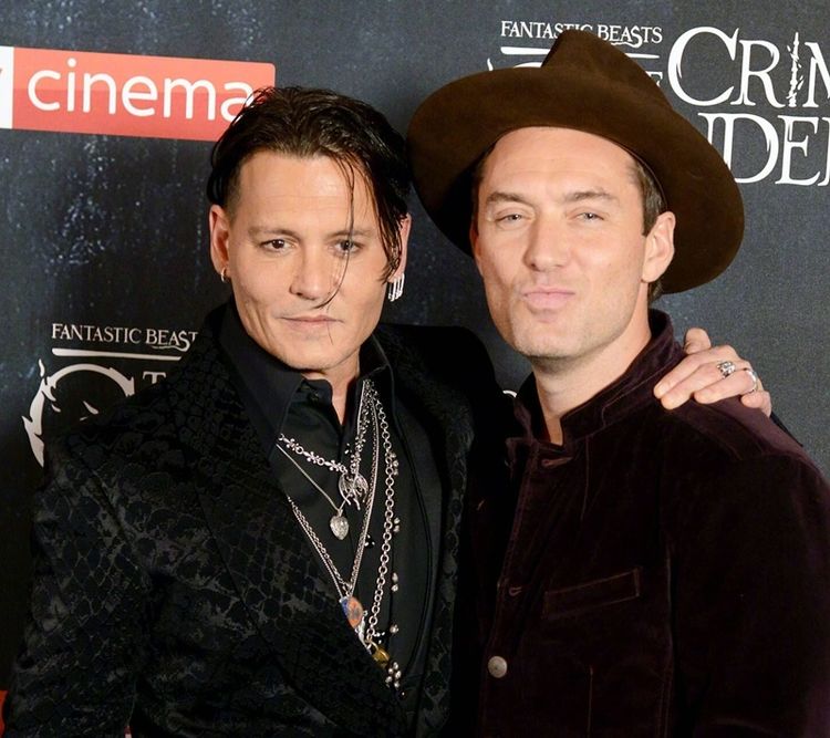 《动物2》伦敦首映德普跟裘花合体,好遗憾颜值巅峰时没有交集