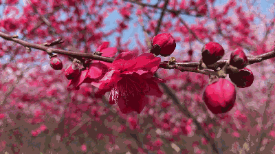 400_224gif 动态图 动图