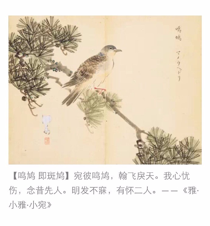 文化知识贴:《诗经名物图解》