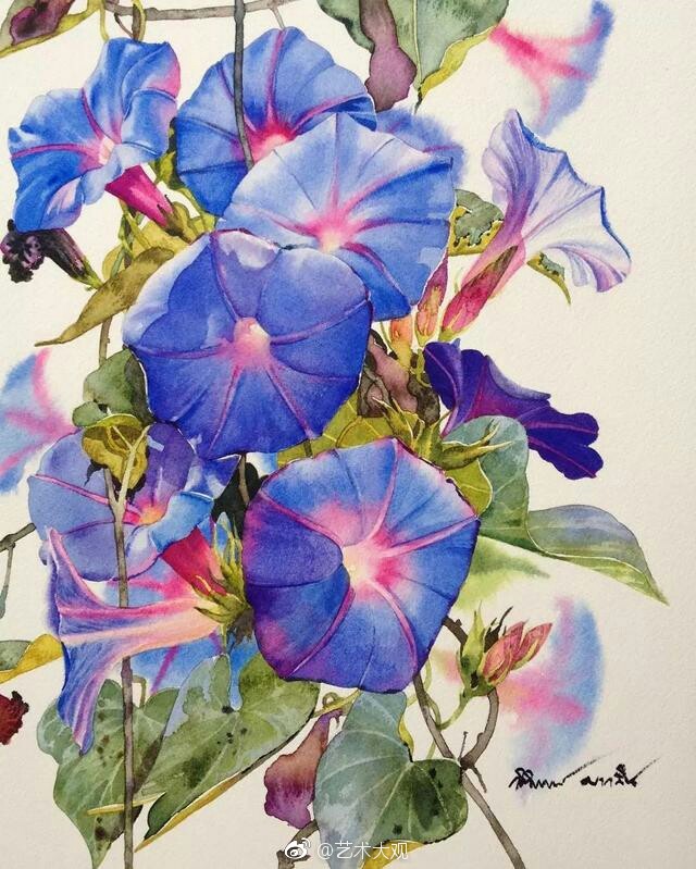 泰国水彩画家kitipong ti花卉作品(图五为画家开设的水彩画培训班)