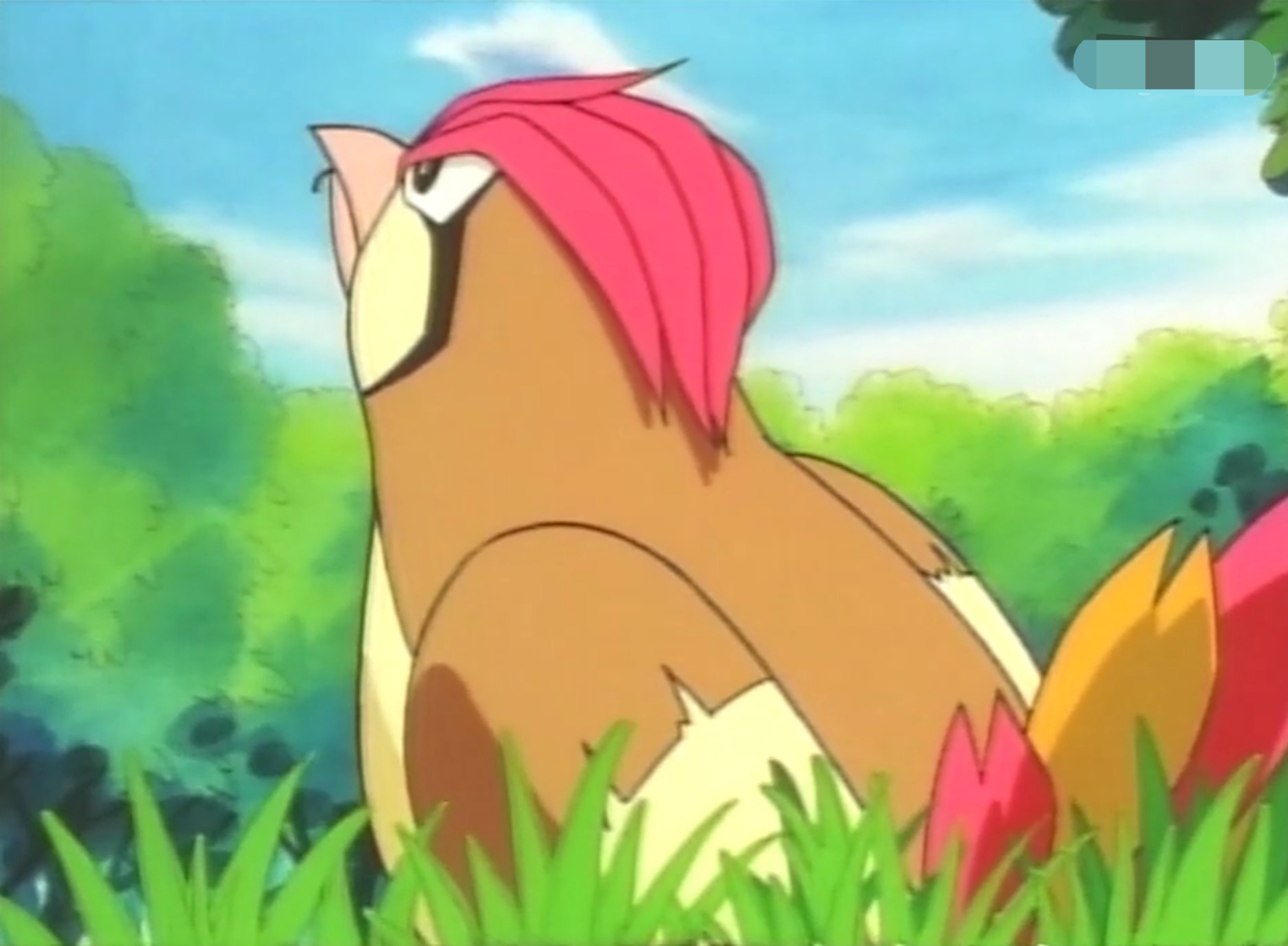 神奇宝贝之我不是小智第15话姗姗来迟的比比鸟皮卡丘坐骑