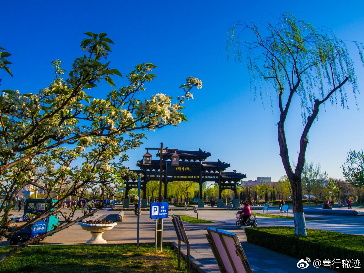 路过德州明月湖