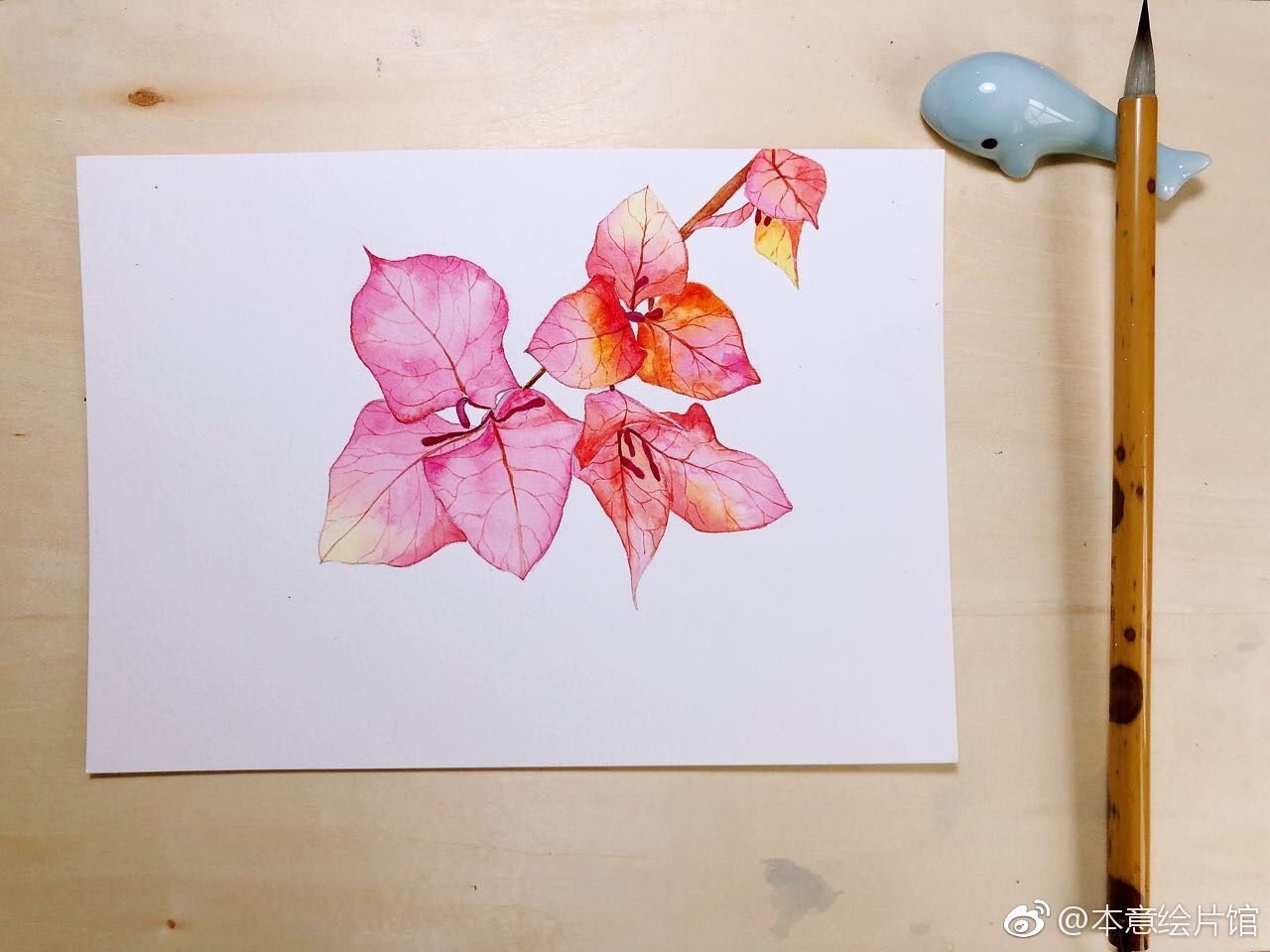 画一支三角梅绘画