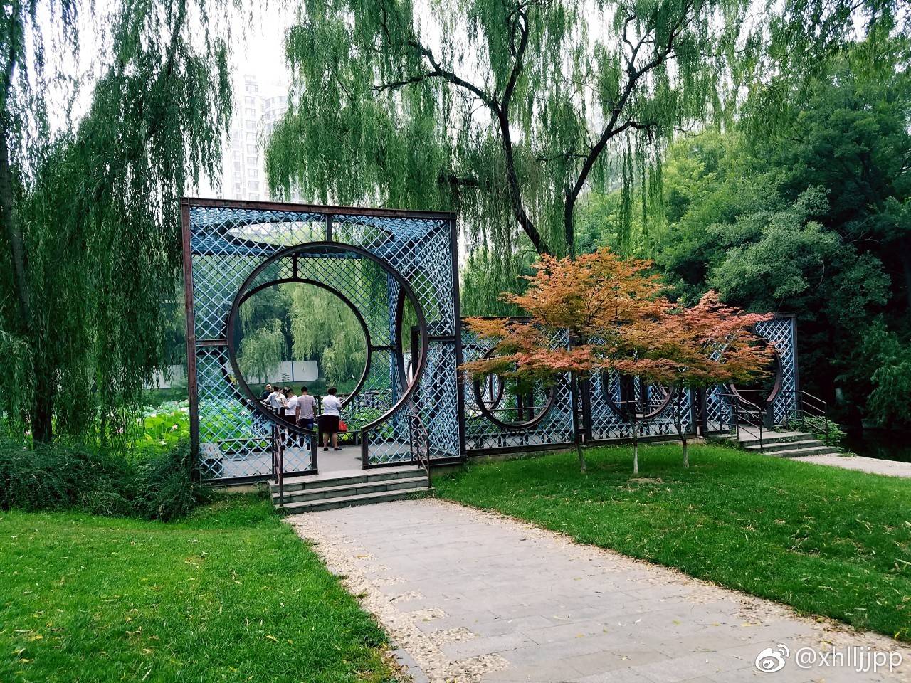 夏日石家庄长安公园景色一角,休闲好去处,简直太美了