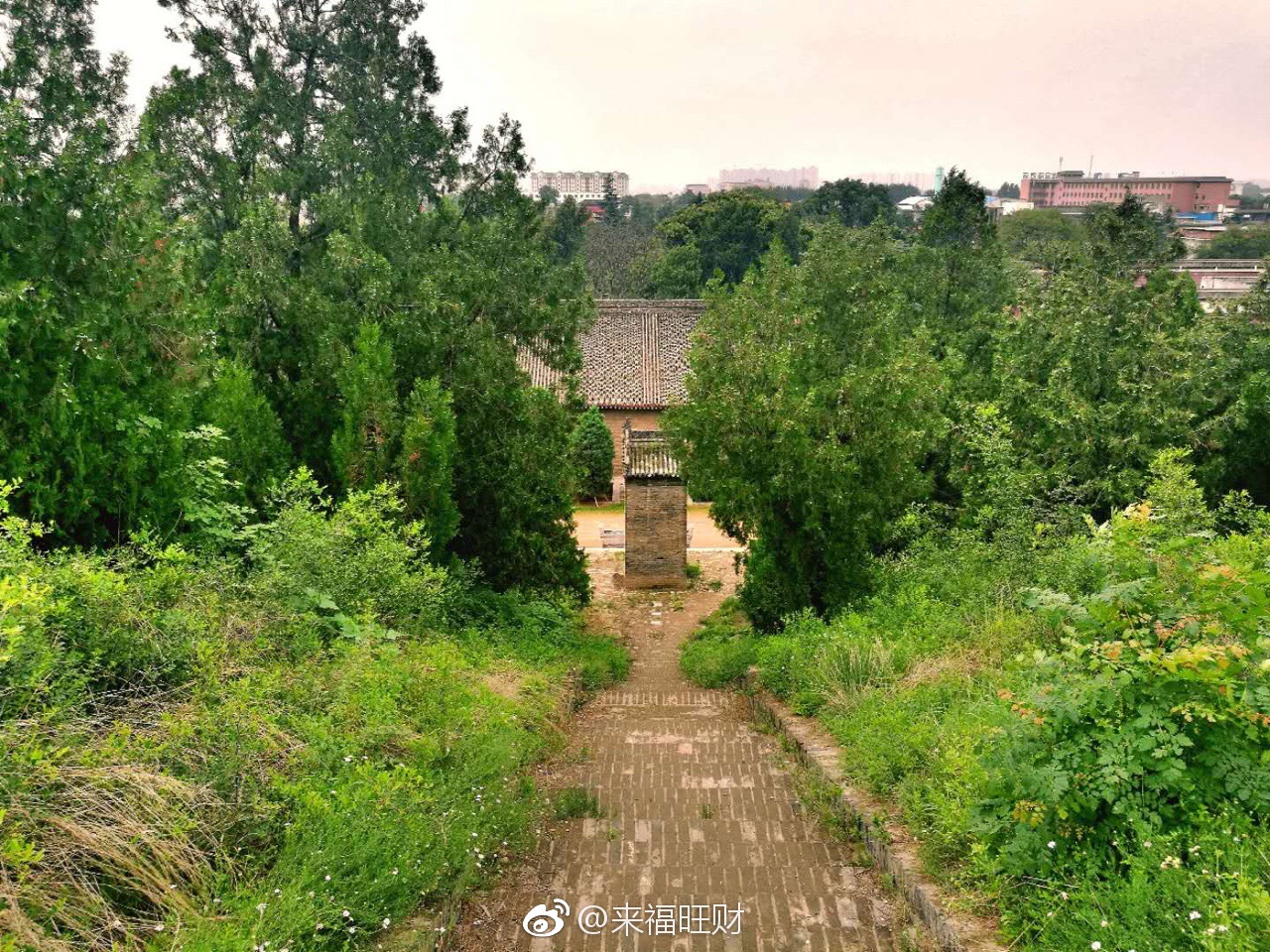 这次在西安咸阳机场趁候机还有些时间,去了不远处的周文王墓看看