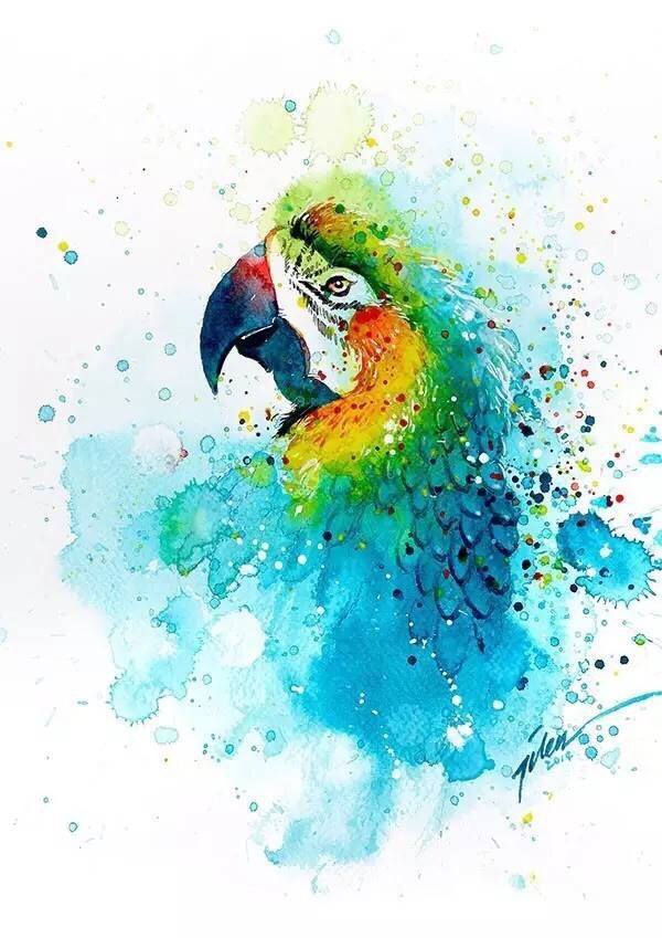 泼墨写意的渲染加写实线条的勾勒,给我们带来一幅幅优美的水彩插画