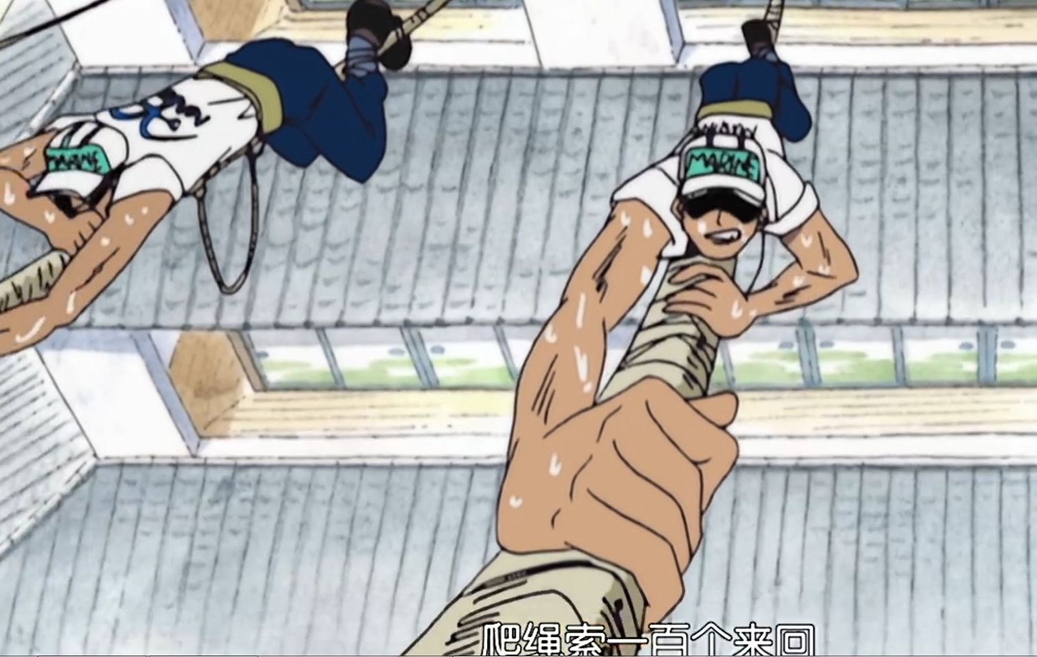 《海贼王》海军培养如何优质是海兵的?话说题标是倒过来念的?