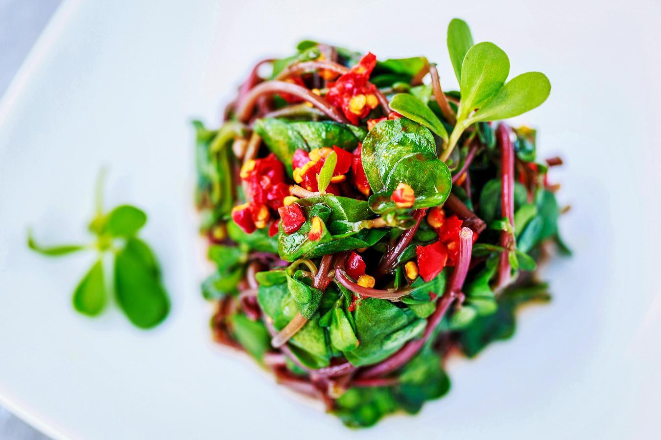 9道适合夏天吃的健康凉拌菜,简单方便比吃肉香