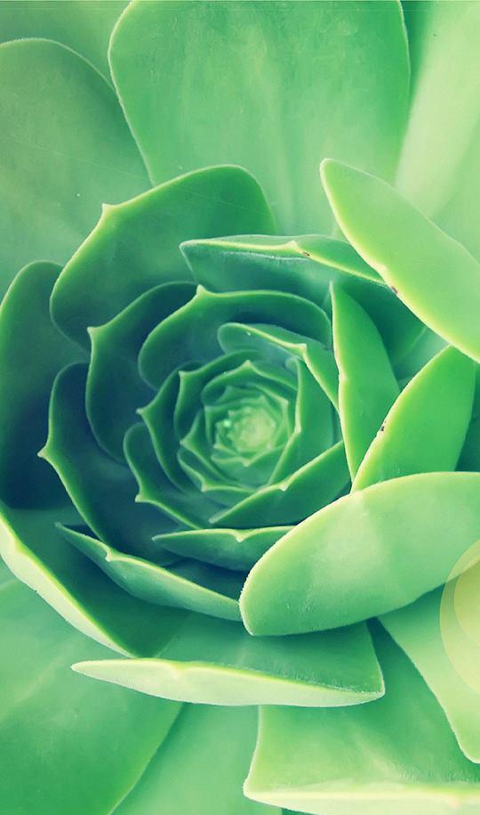 小清新手机壁纸唯美待机画面锁屏背景图,喜欢请关注小编!