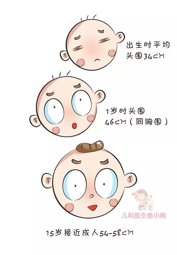 一般来说,宝宝头围发育如图.