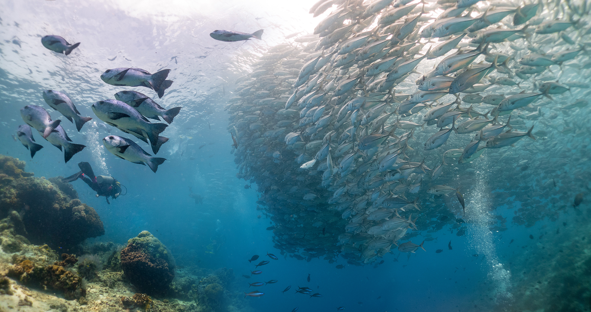 地震等级如何划分 日本频繁地震会引发富士山喷发吗