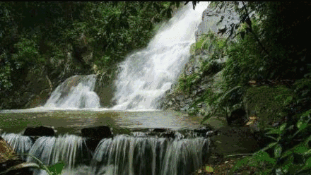 440_248gif 动态图 动图