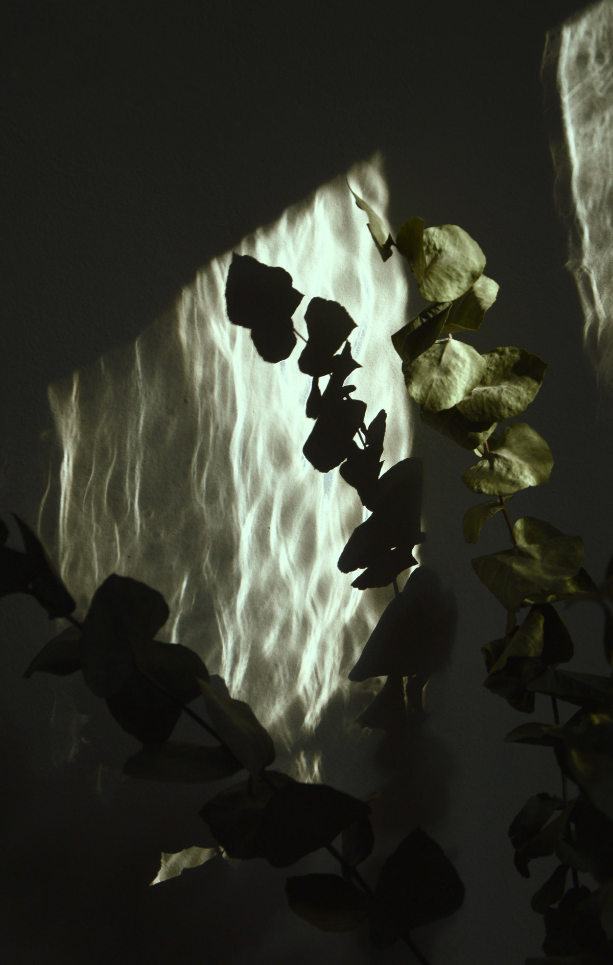 光影&情绪 |simone roscher