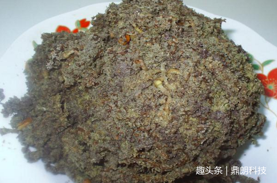 农村女的孩误食"五十芒",只吃了3个差点中毒送命!