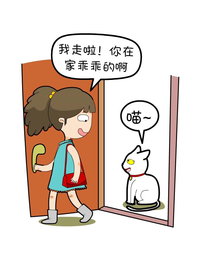 当你出门后,宠物都在家干嘛?