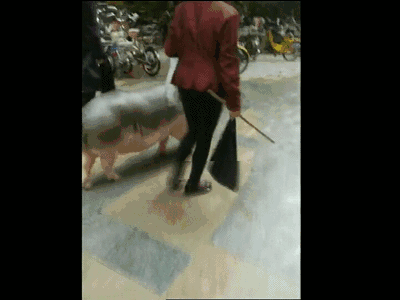 400_300gif 动态图 动图