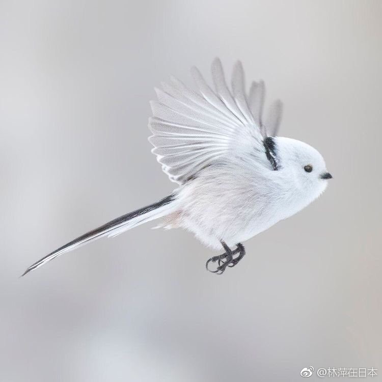 长尾关键词怎么写