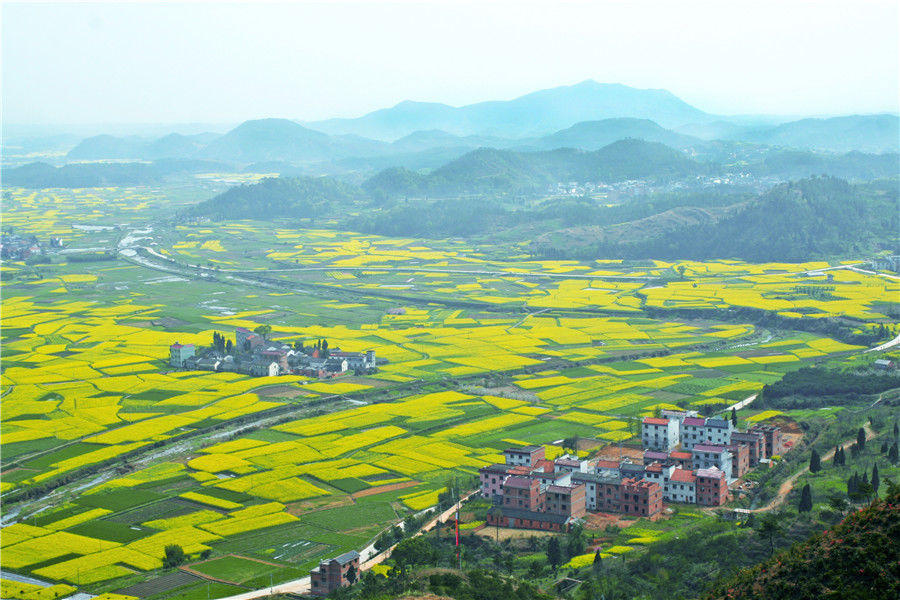 浙江2018首个马拉松兰溪开跑!快来看看