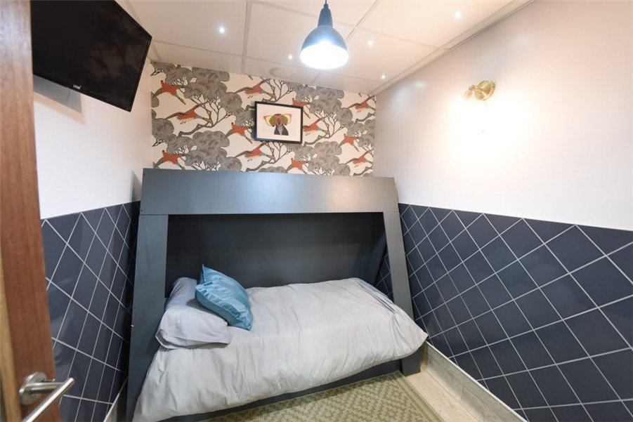 价值百万英镑的狗狗5星酒店,奢华房间配置,狗狗却不爱待