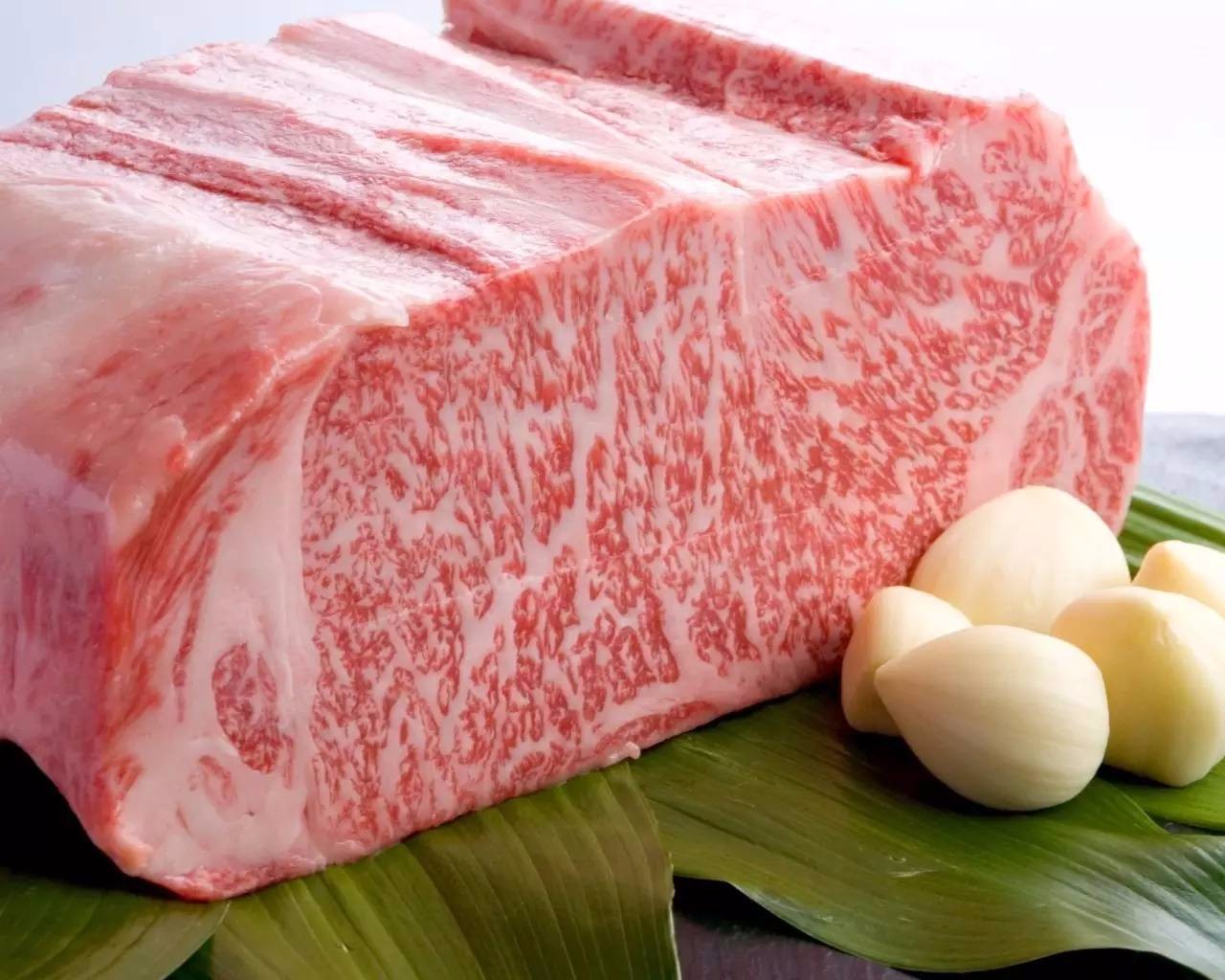 澳洲和牛and日本和牛,究竟选哪个?|牛|澳洲|牛肉_新浪新闻