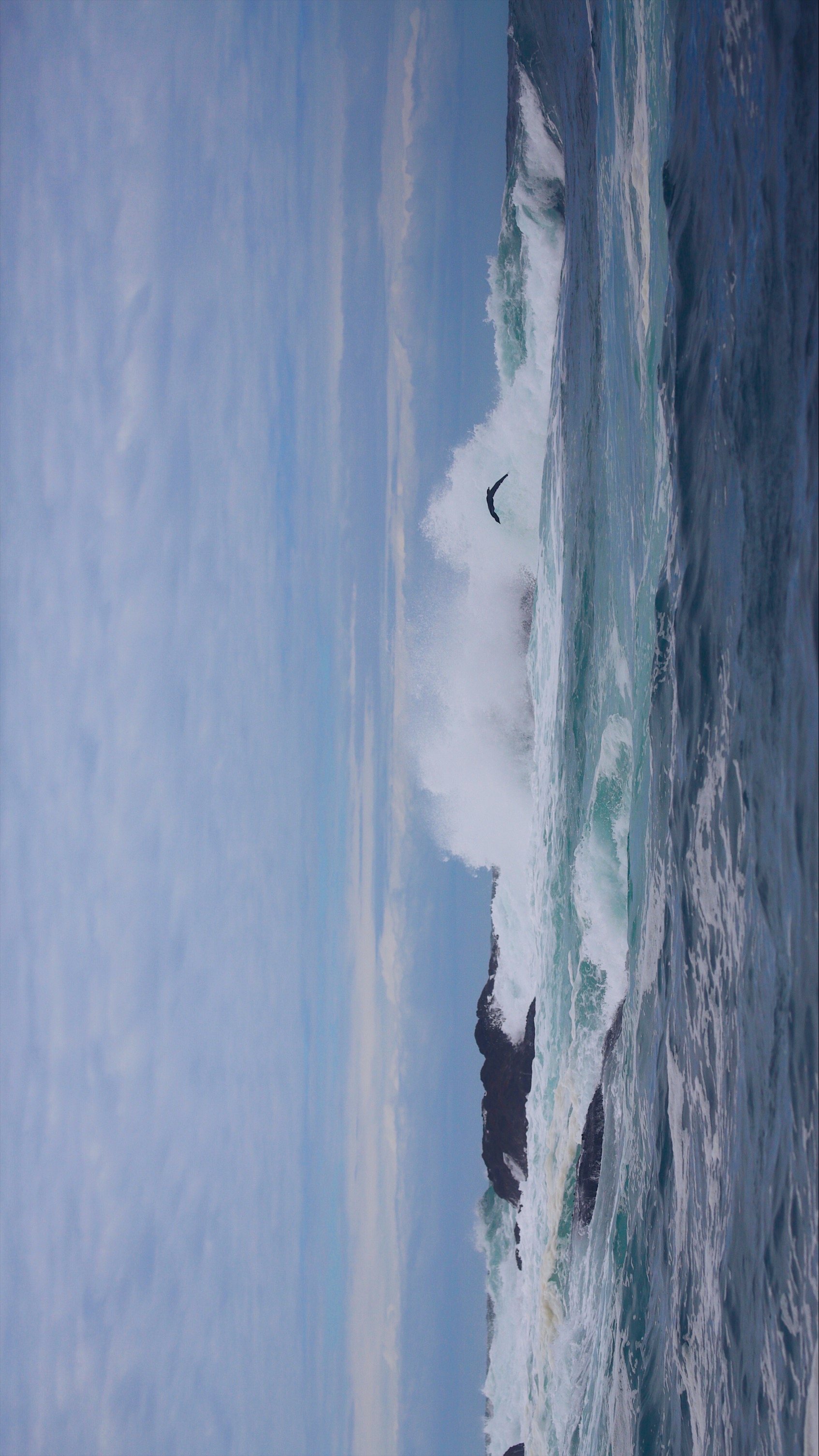 每一天的努力,只是为了让远方变得更近一些.推荐摄影师:@陶立夏