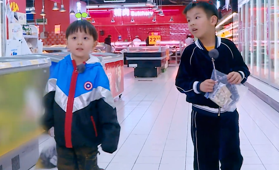 和大麟子一比, 安迪简直太聪明! 网友: 遗传了杨子的智商!