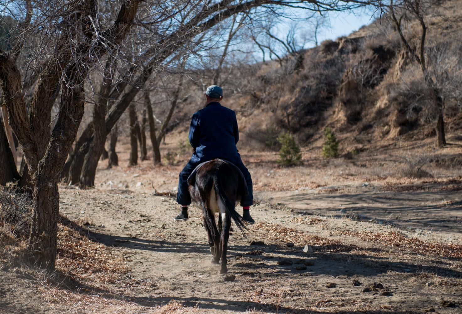 护林员坚守没有网络深山之中24小时不能离开骑着毛驴上下班