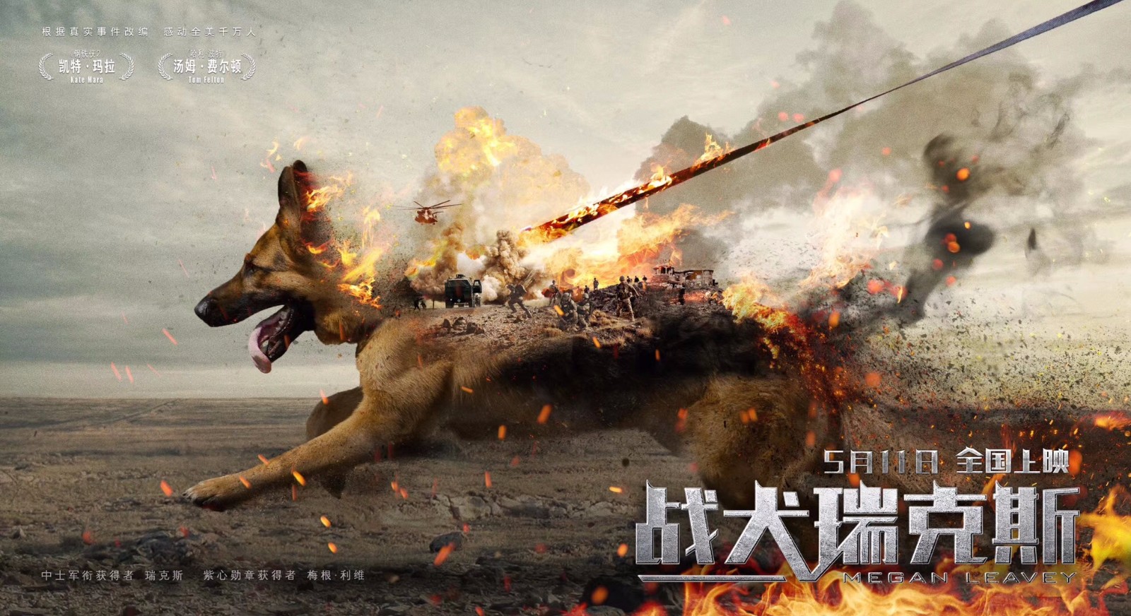 全国50城超前品鉴《战犬瑞克斯》 真实动人获赞"暖心佳作"