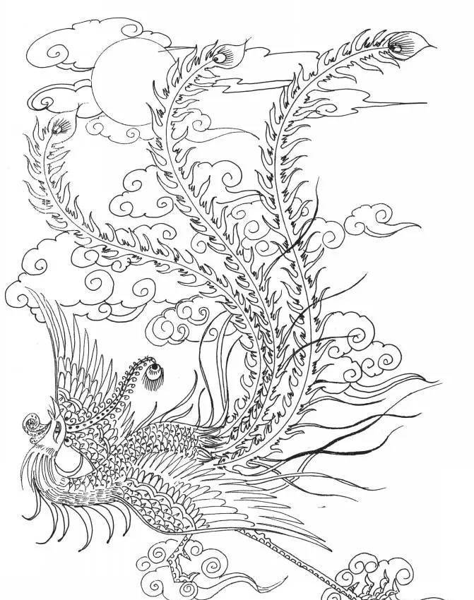 绘画67676767有凤来仪