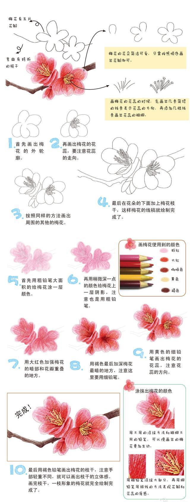 很简单看如何用彩铅画雏菊梅花向日葵